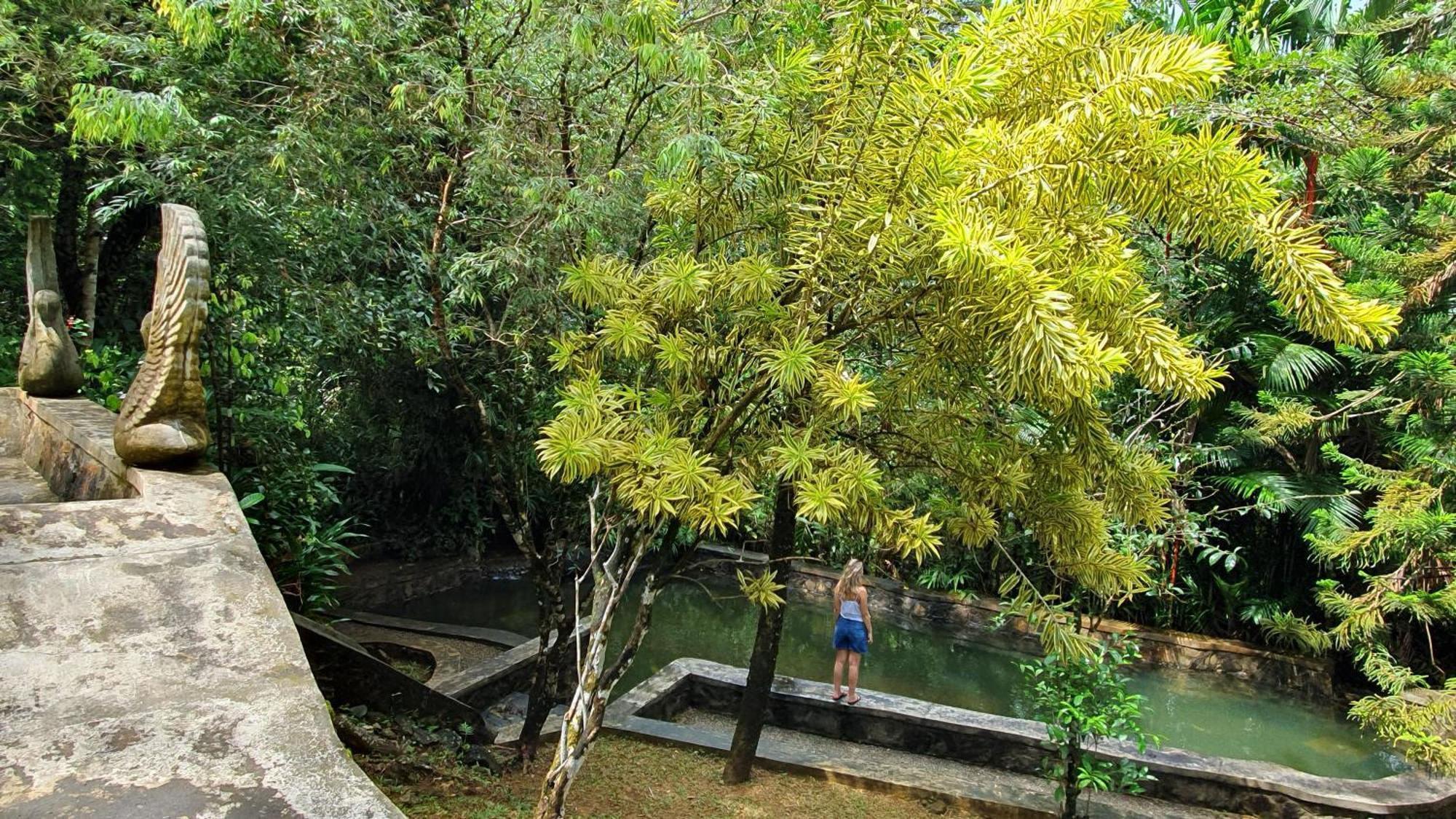 Singharaja Garden Agro Eco Lodge Pelawatta  Eksteriør bilde