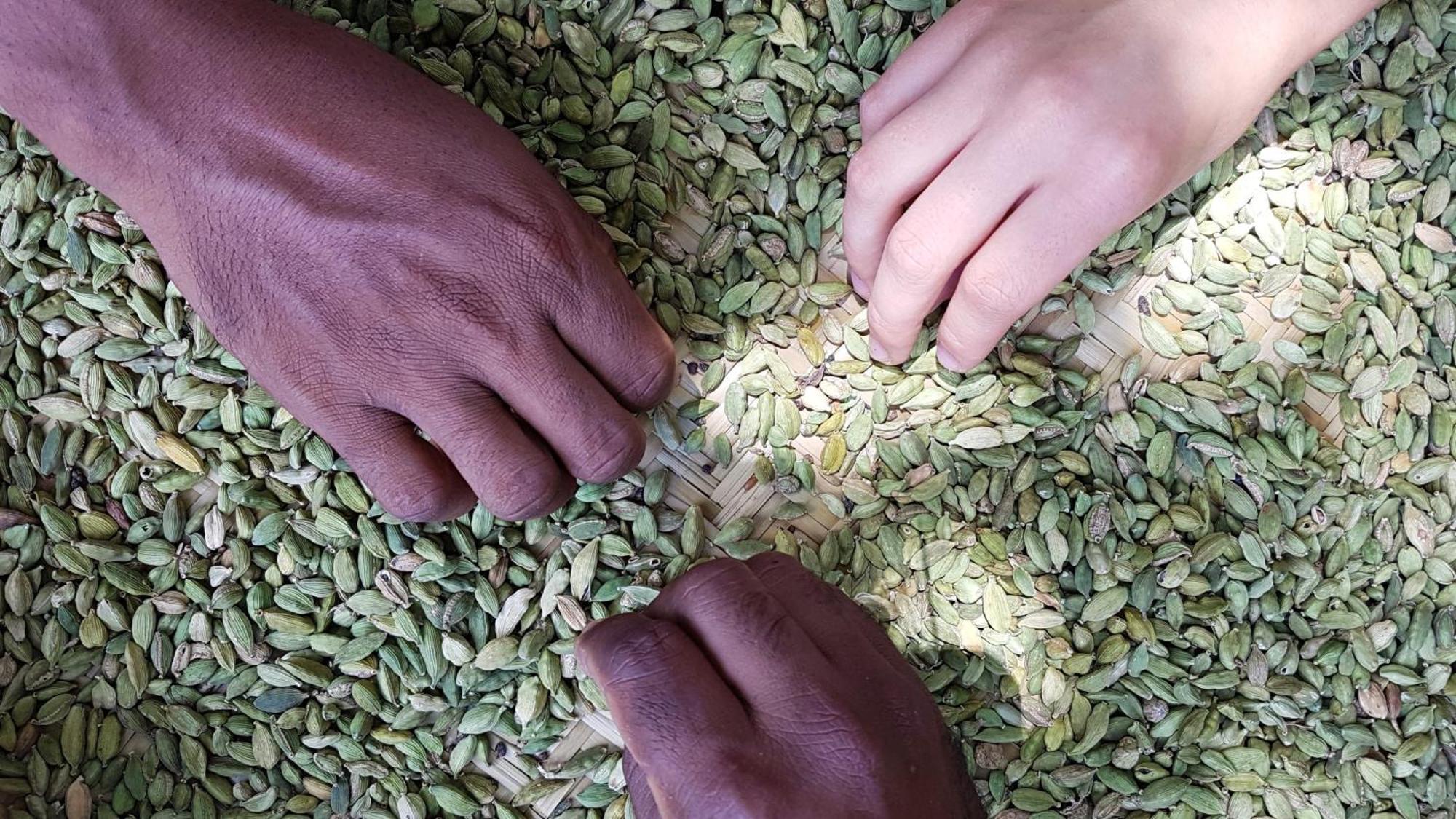 Singharaja Garden Agro Eco Lodge Pelawatta  Eksteriør bilde