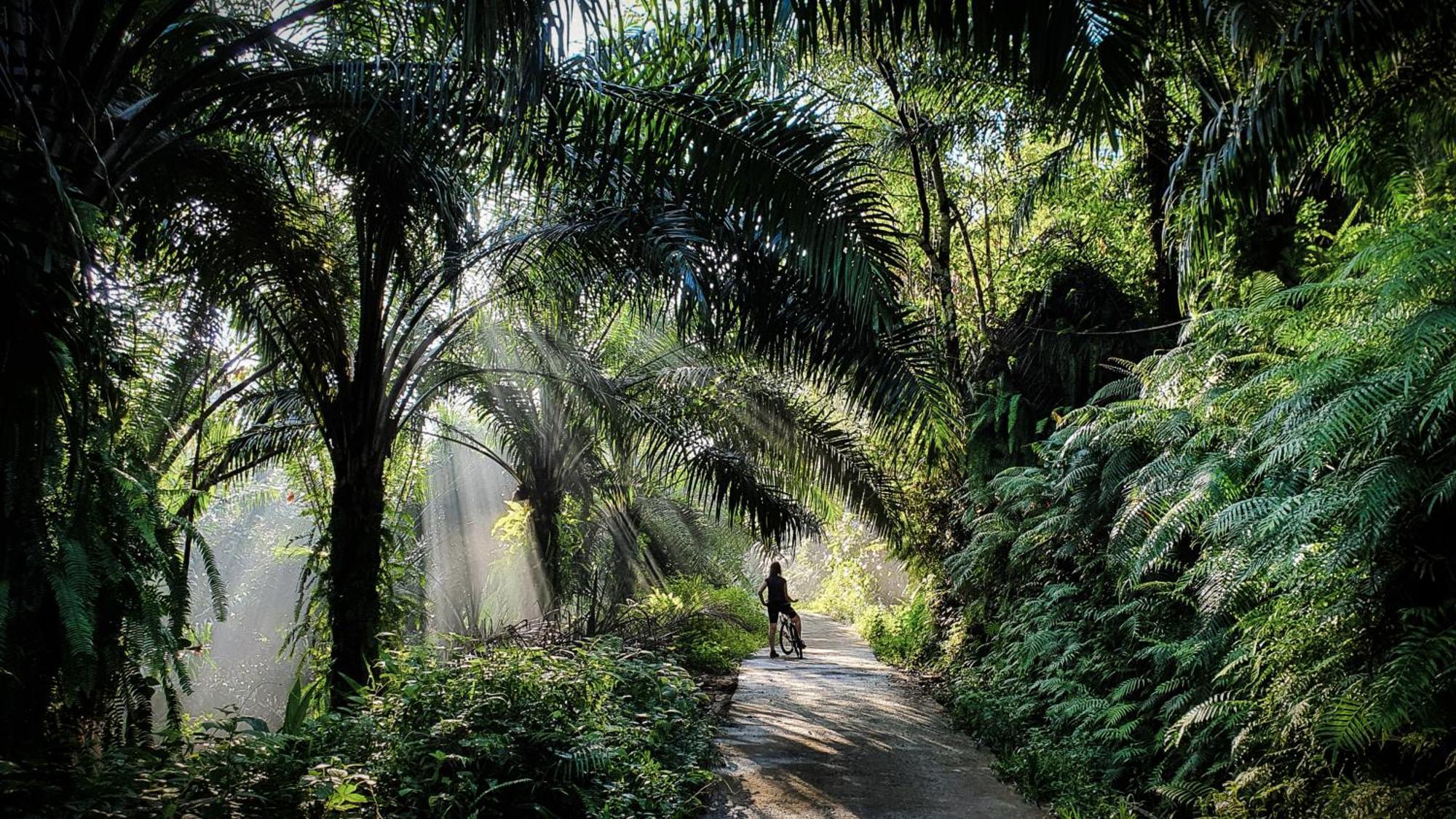Singharaja Garden Agro Eco Lodge Pelawatta  Eksteriør bilde