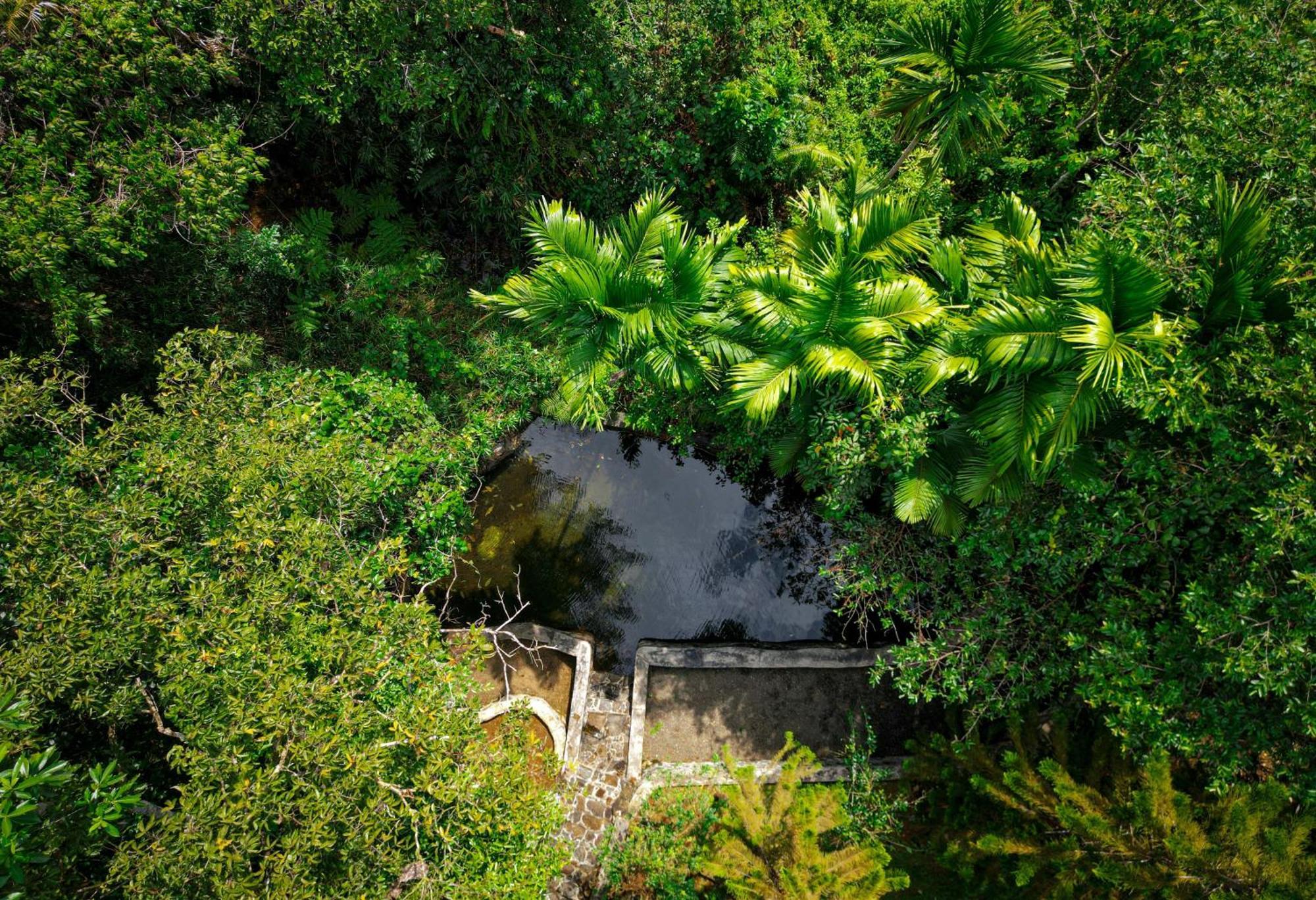 Singharaja Garden Agro Eco Lodge Pelawatta  Eksteriør bilde