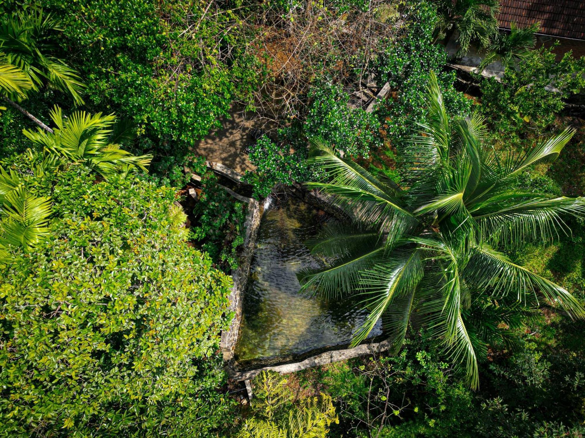 Singharaja Garden Agro Eco Lodge Pelawatta  Eksteriør bilde
