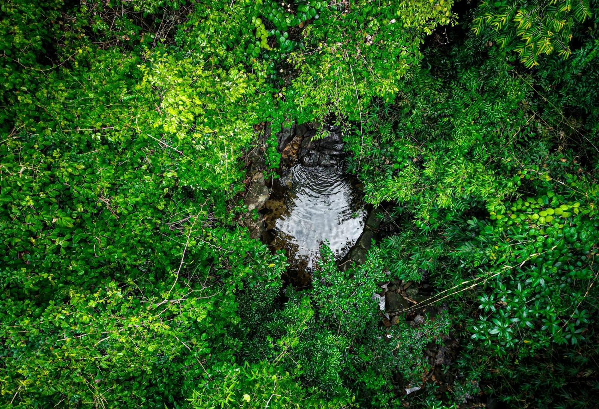 Singharaja Garden Agro Eco Lodge Pelawatta  Eksteriør bilde