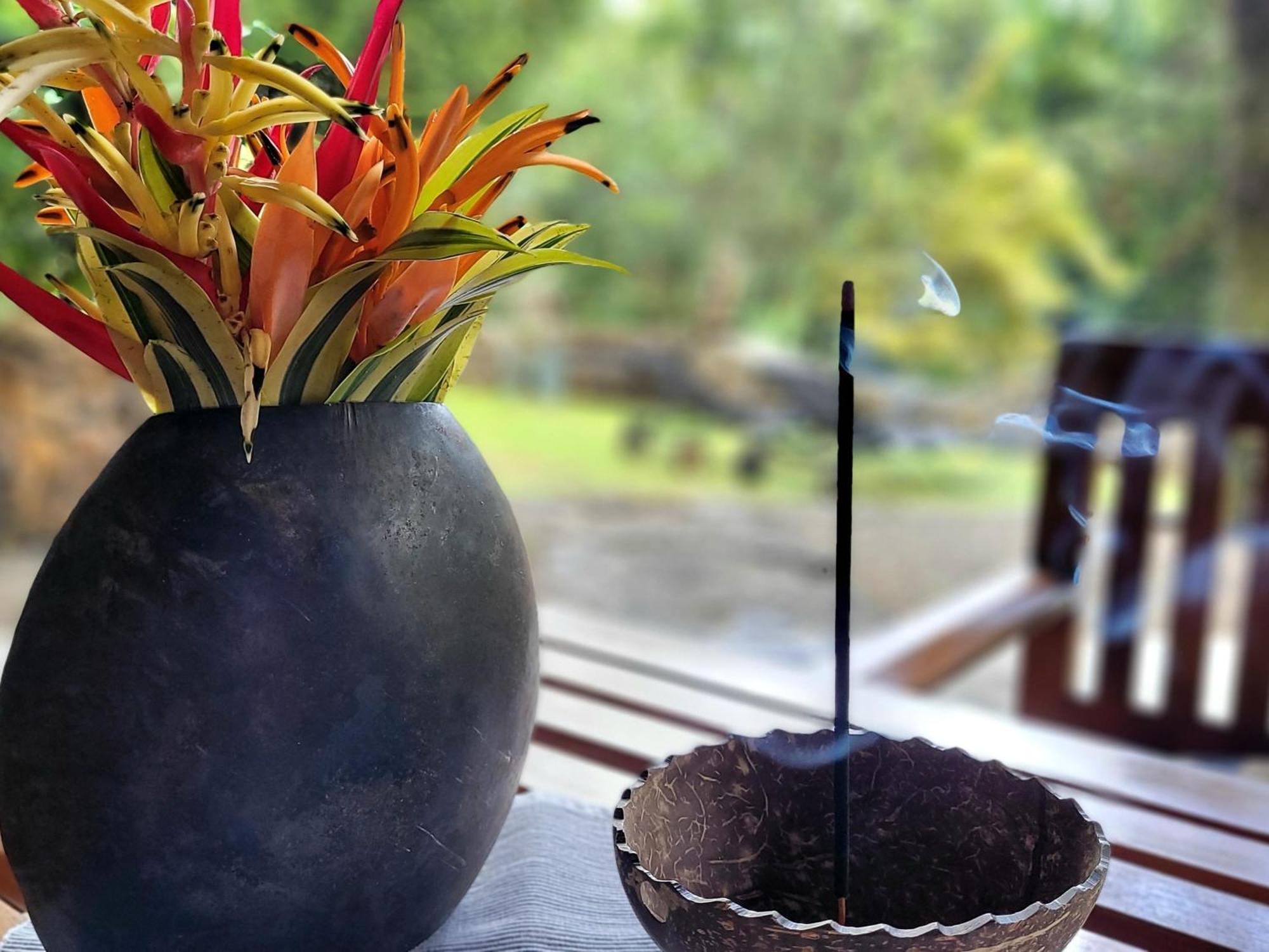 Singharaja Garden Agro Eco Lodge Pelawatta  Rom bilde