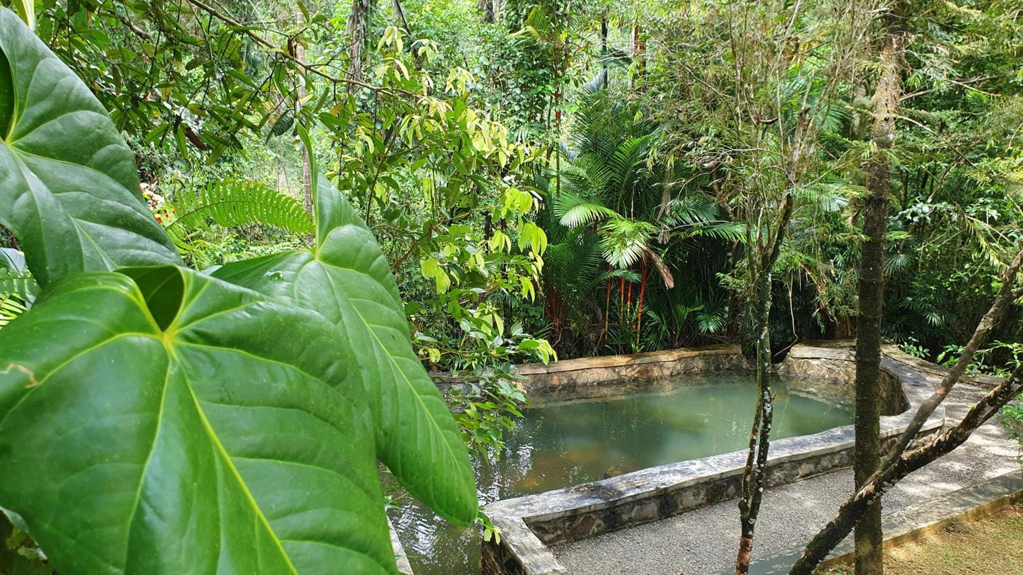 Singharaja Garden Agro Eco Lodge Pelawatta  Rom bilde