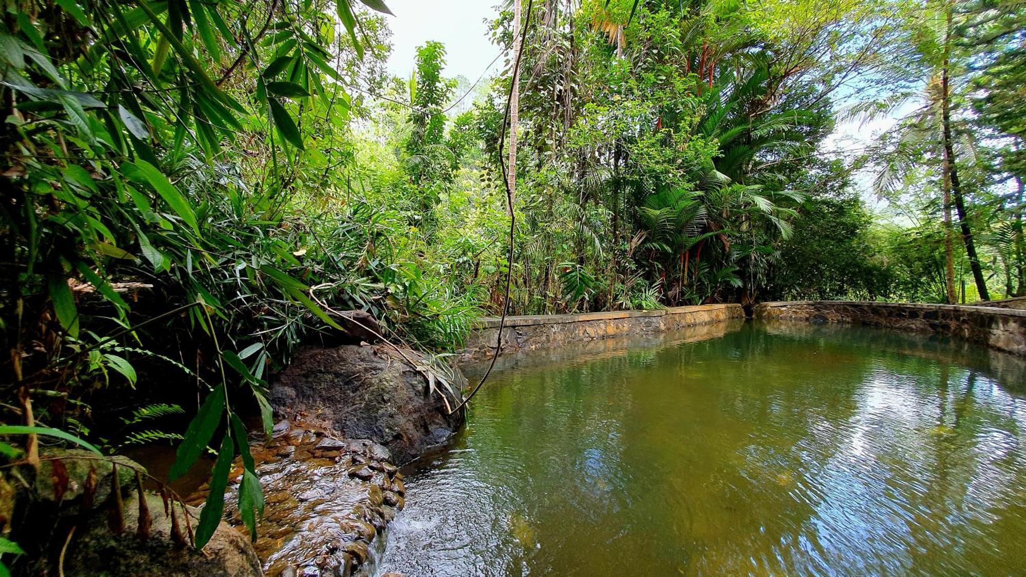 Singharaja Garden Agro Eco Lodge Pelawatta  Rom bilde
