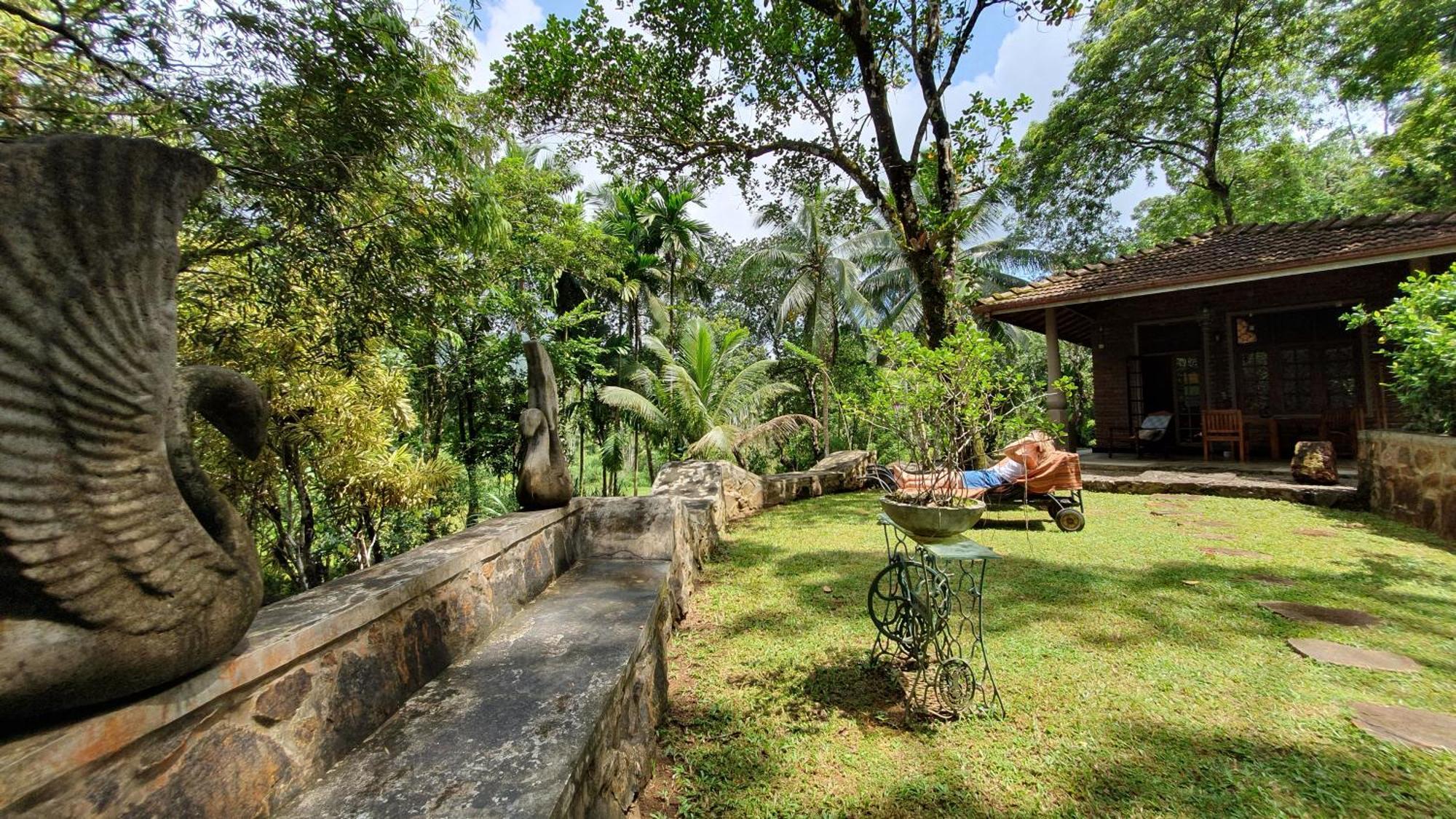 Singharaja Garden Agro Eco Lodge Pelawatta  Rom bilde